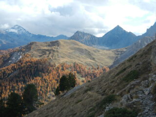 vista verso il Pic de Rochebrune e il Grand Peygu