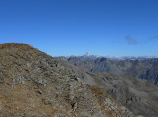 Dalla cima verso il Monviso