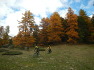 discesa su bei prati e larici in veste autunnale