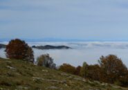 Molto autunno ovunque