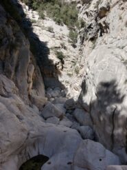 parte bassa del Canyon, poco prima di arrivare al tratto turistico lato Dorgali