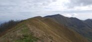 Il Monte Monega dalla Cima dell' Ortica 