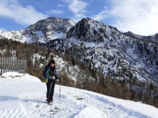 Alpe Leretta, sullo sfondo il Monte Mars.