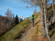 splendida discesa su sentiero verso La Thuile