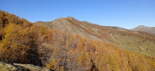 La cresta da percorrere durante la salita alla Cima Ventosa 