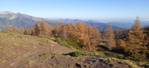 Discesa sul Pian del Manzo 