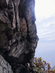 L' attacco di L4, con ciò che resta dell' albero