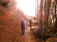 Nel bosco sopra San Maurizio