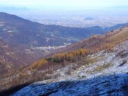 Dalla strada di rientro un gruppo di alberi con ancora i colori dell'autunno.