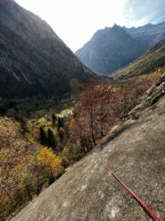 terzo tiro dall'alto, 6a molto bello di placca