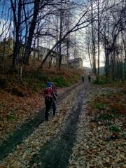 nel bosco  prima di Vernagli