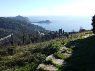 Scorcio verso Sestri Levante lungo la discesa