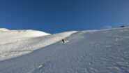 Fra la cima e il primo bosco