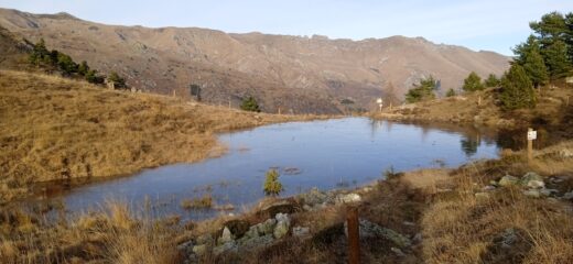 Lago del Lao 