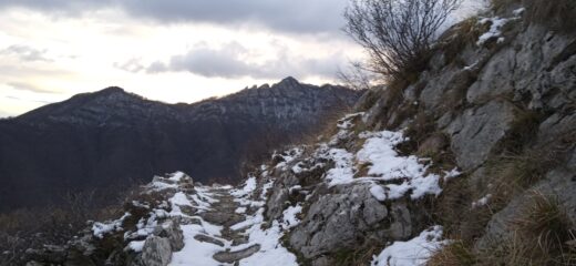 Rientro a Caprauna per il sentiero del Passo dei Sii 