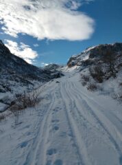 Risalendo il Vallone della Brignola