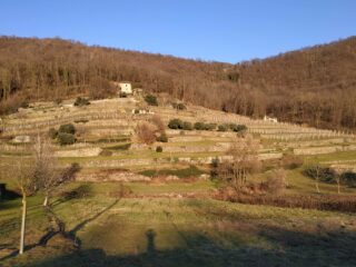 Vigneti in veste invernale che mettono in risalto la perfezione dei muri a secco.