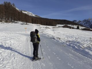 Inizia il percorso per ciaspole. 