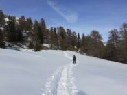 Scendendo sul sentiero nel bosco.