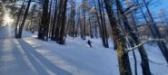 Neve bella nella parte alta del bosco