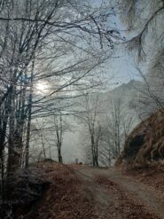 Strada per il lago